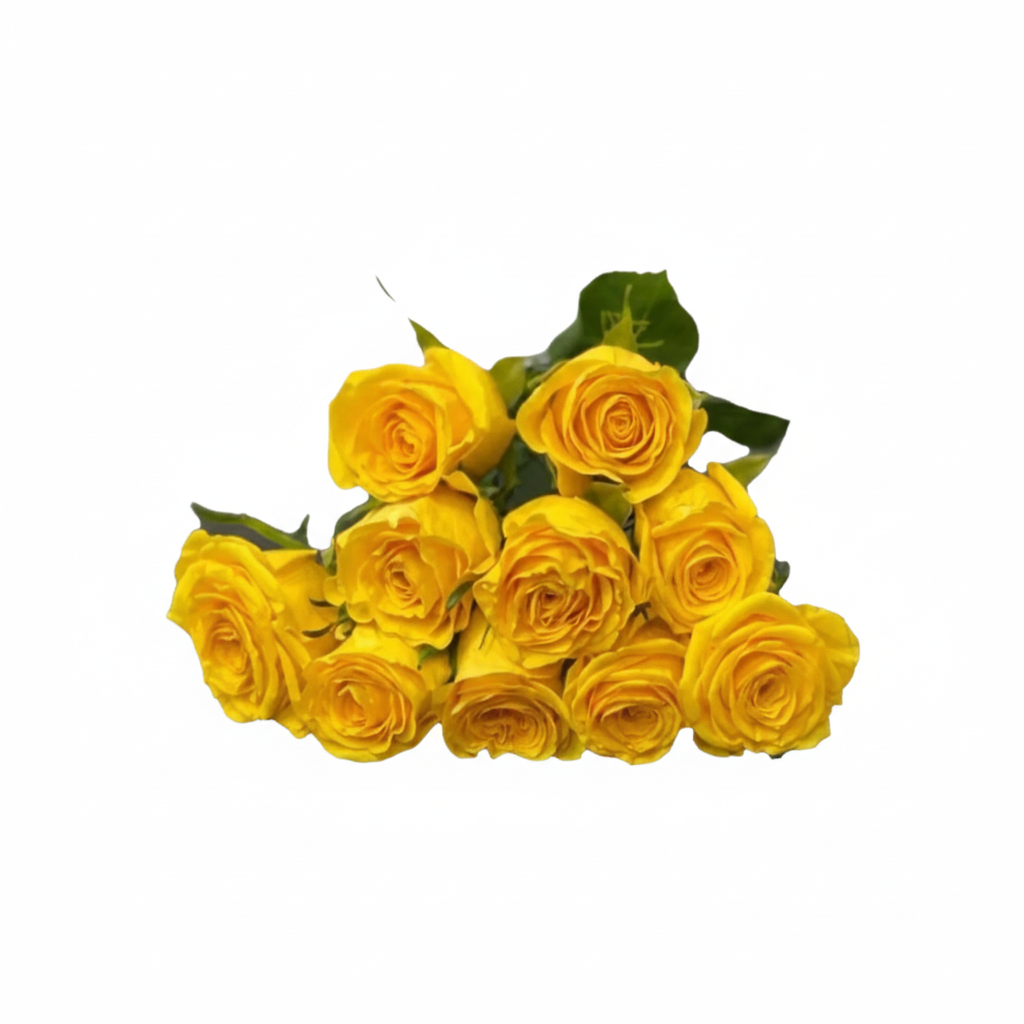 Wholesale Yellow Roses 10 Pcs
