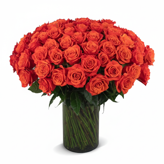 100 pcs Orange Rose in Glass Vase