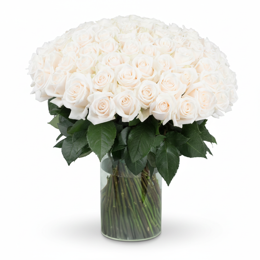 100 pcs White Rose in Glass Vase