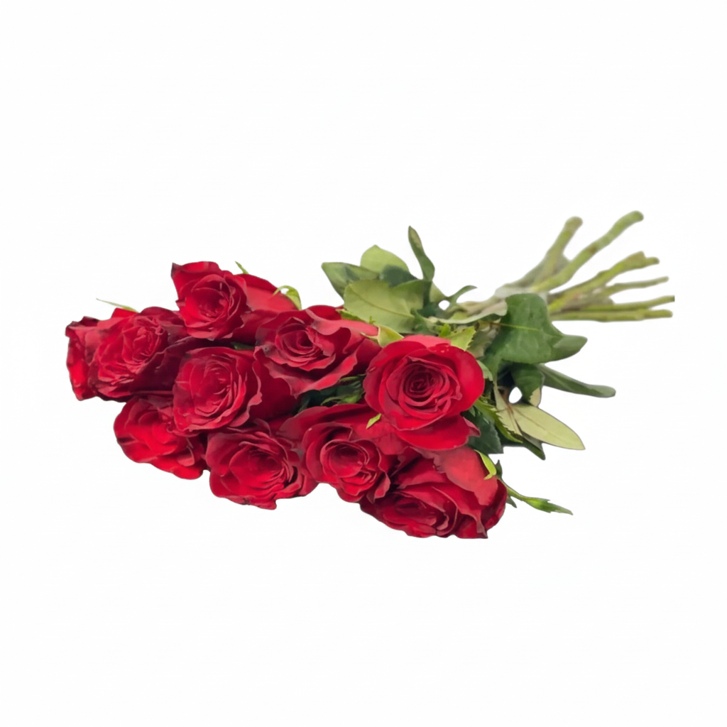 Wholesale Red Roses 10 pcs