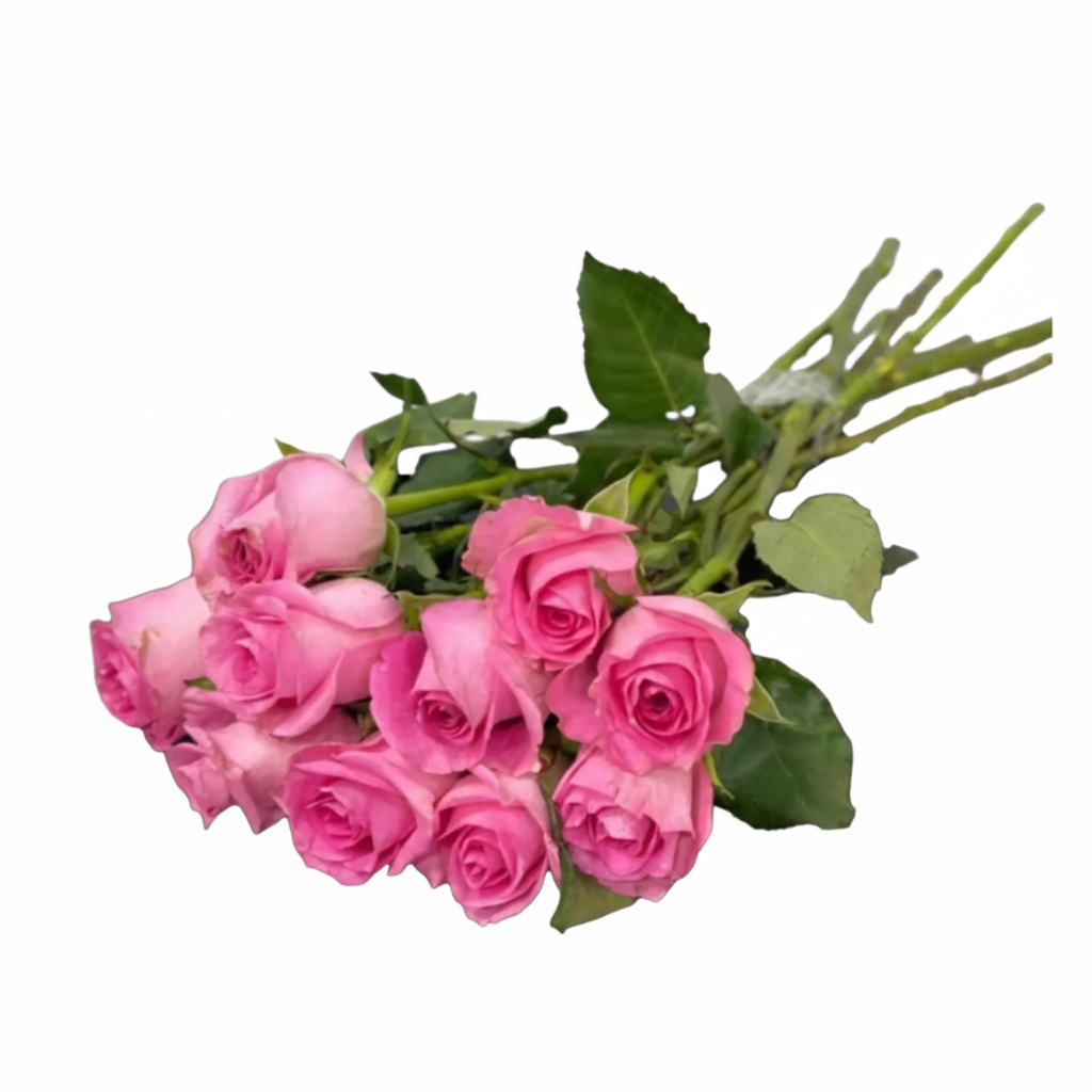 Wholesale  Pink Roses 10 Pcs